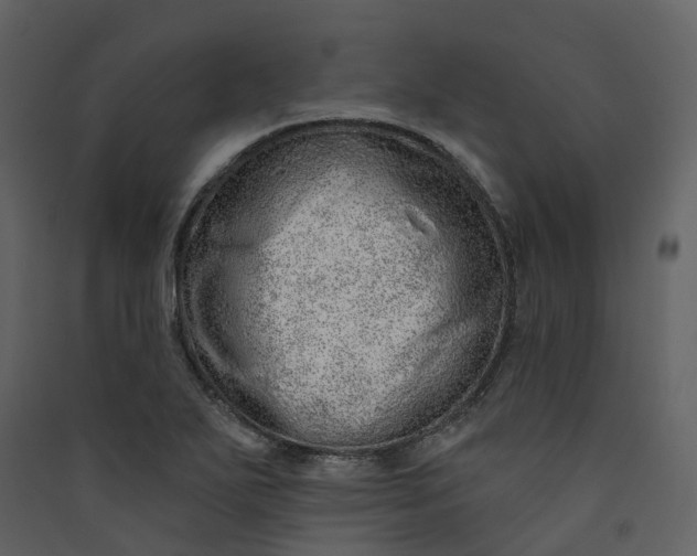 X0000089941271200707131445