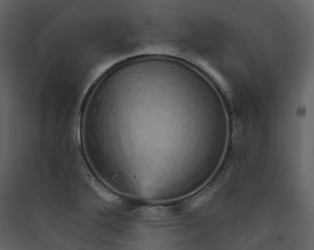 X0000089941272200707131445