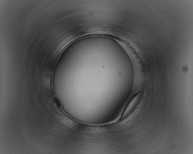 X0000089941273200707131445