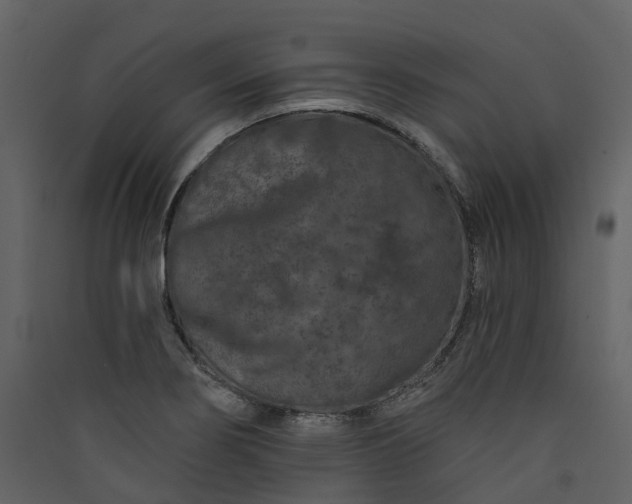 X0000089941274200707131445