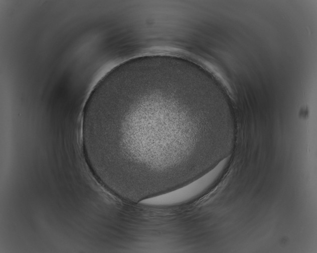 X0000089941275200707131445