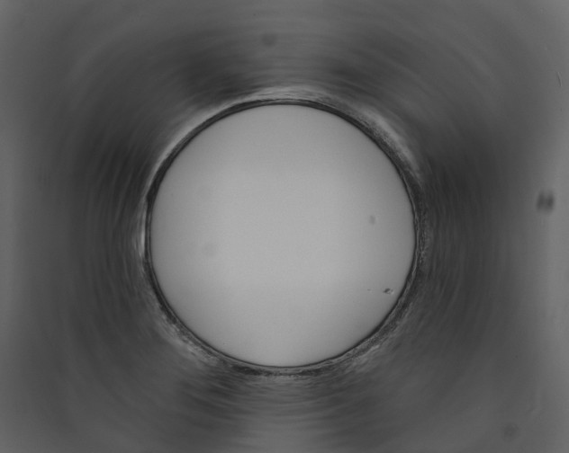 X0000089941276200707131445