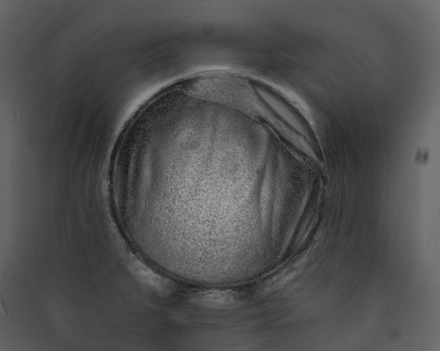 X0000089941279200707131445