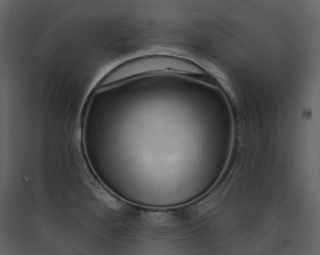 X0000089941280200707131445