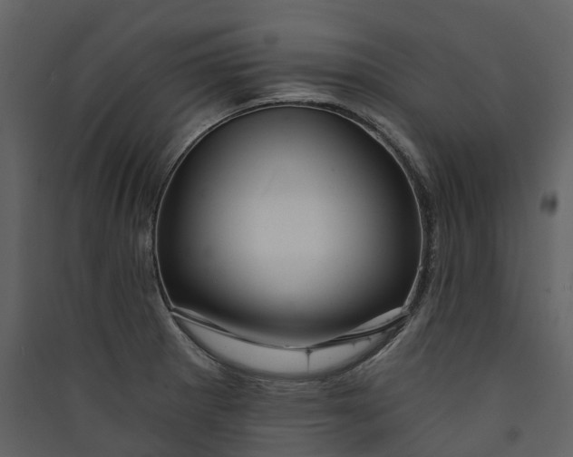 X0000089941281200707131445