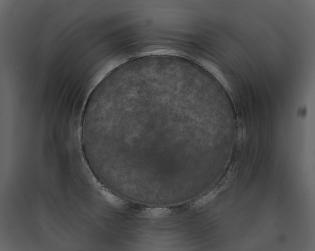 X0000089941282200707131445