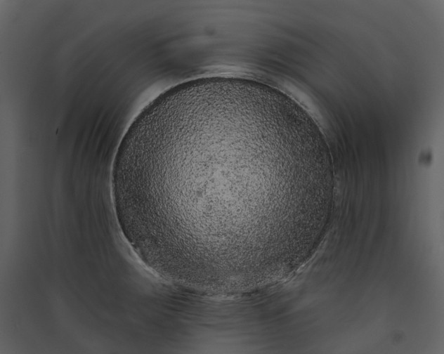 X0000089941283200707131445