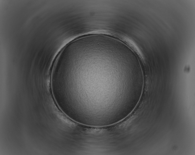 X0000089941284200707131445