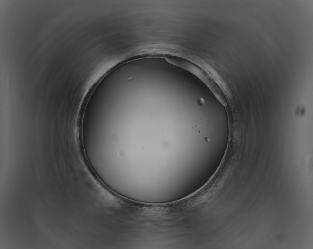 X0000089941285200707131445