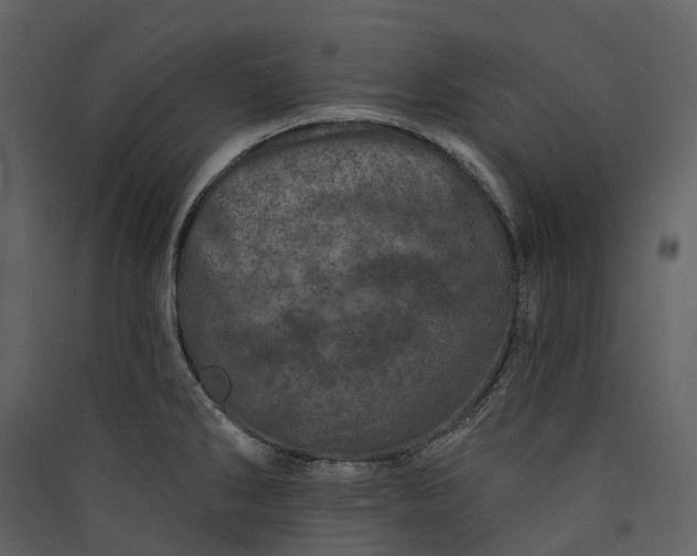 X0000089941286200707131445