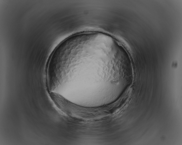 X0000089941287200707131445