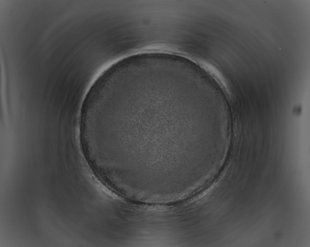 X0000089941288200707131445