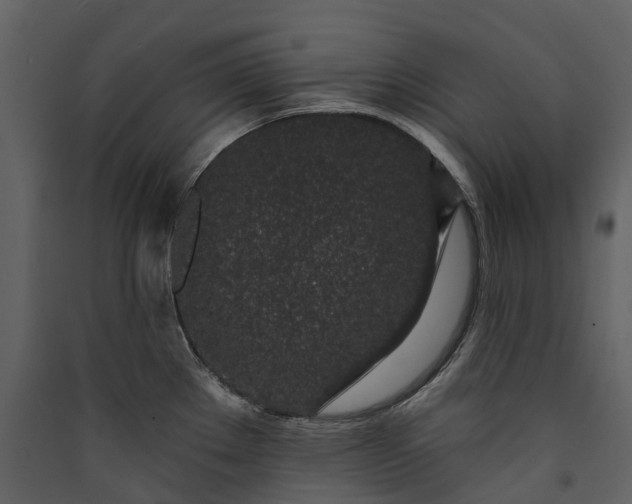 X0000089941289200707131445