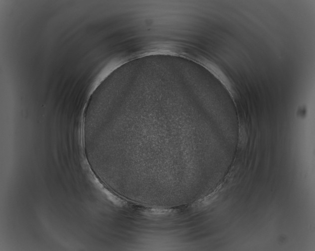 X0000089941290200707131445