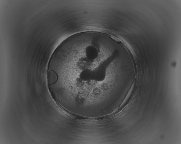 X0000089941291200707131445