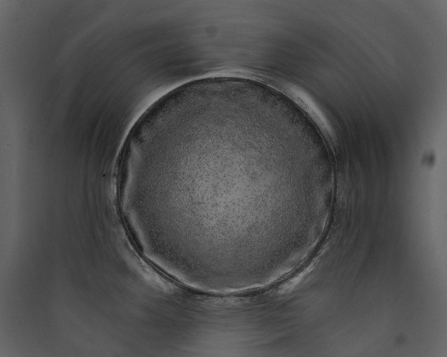 X0000089941292200707131445