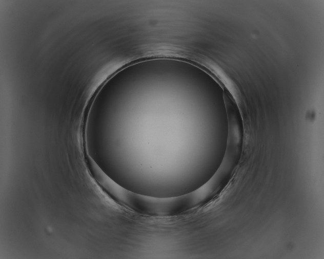 X0000089941293200707131445