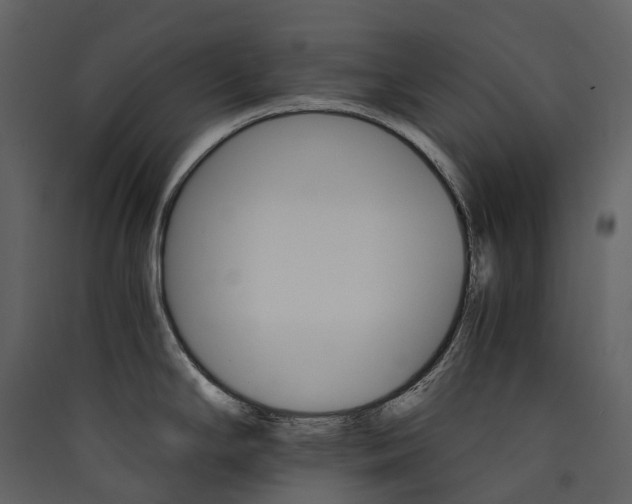 X0000089941294200707131445