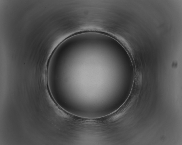 X0000089941295200707131445