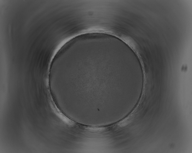 X0000089941296200707131445