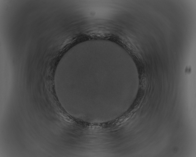 X0000089941297200707131445