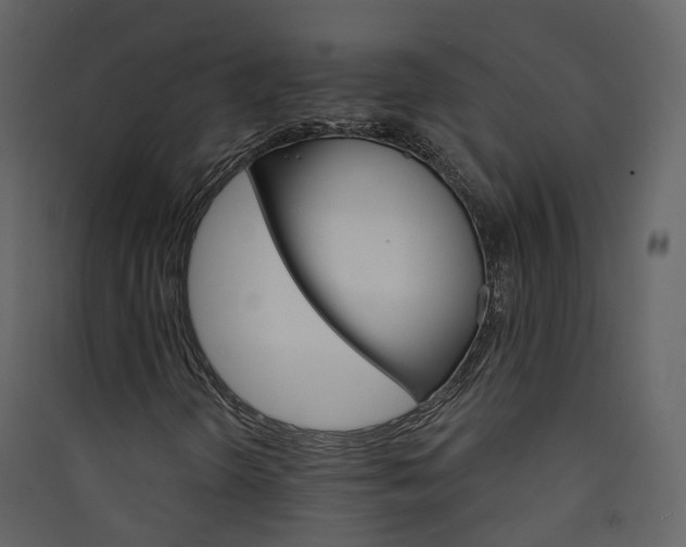 X0000089941298200707131445