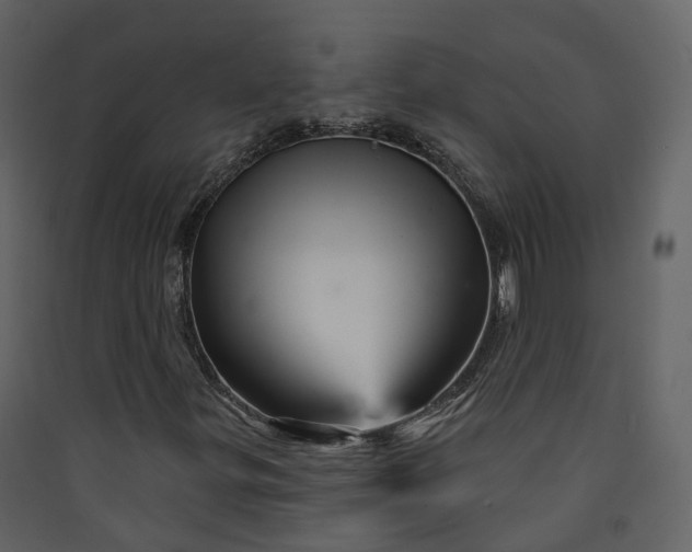 X0000089941299200707131445