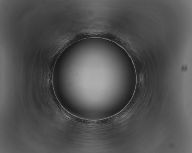 X0000089941300200707131445