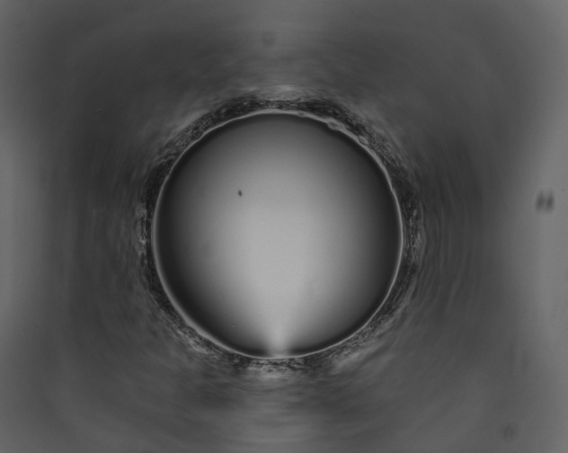 X0000089941301200707131445