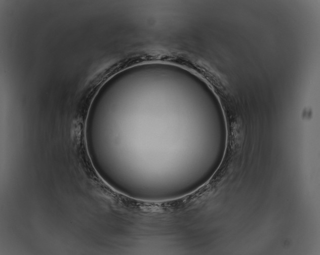 X0000089941302200707131445