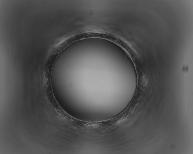 X0000089941303200707131445