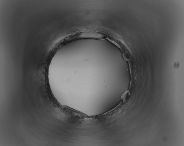 X0000089941304200707131445