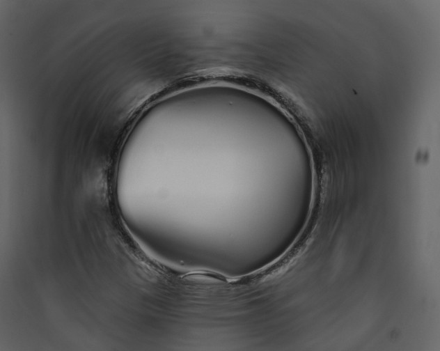 X0000089941305200707131445