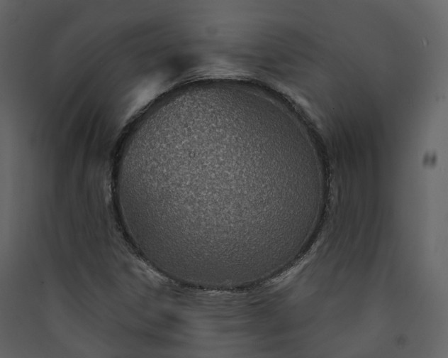 X0000089941306200707131445