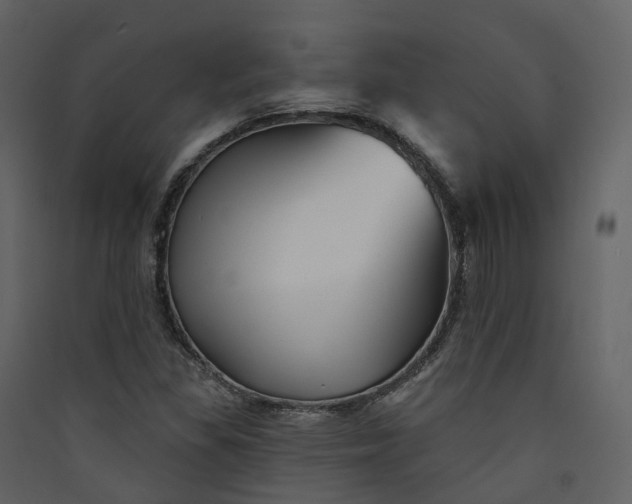 X0000089941309200707131445