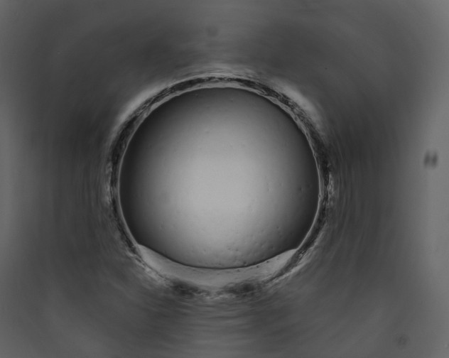 X0000089941310200707131445