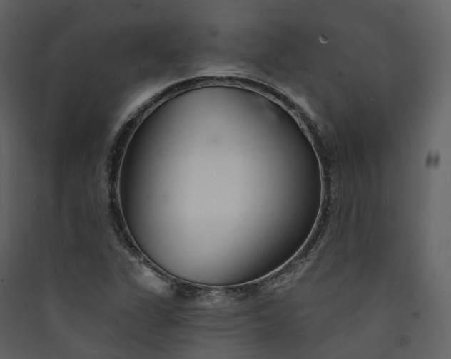 X0000089941311200707131445