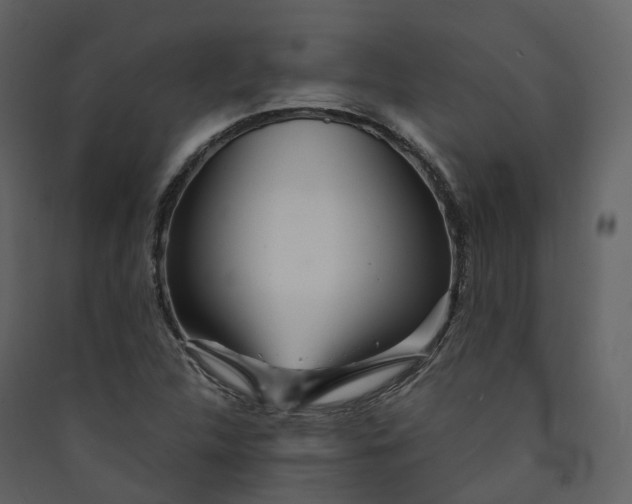 X0000089941312200707131445