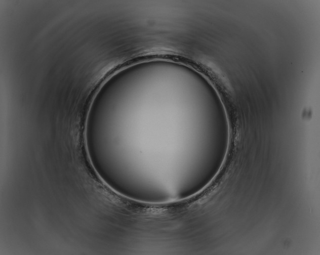 X0000089941313200707131445