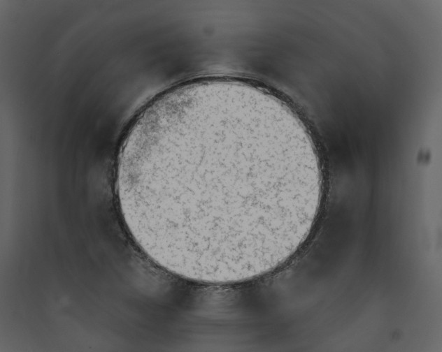 X0000089941314200707131445