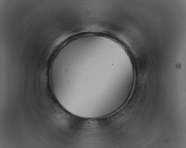 X0000089941315200707131445