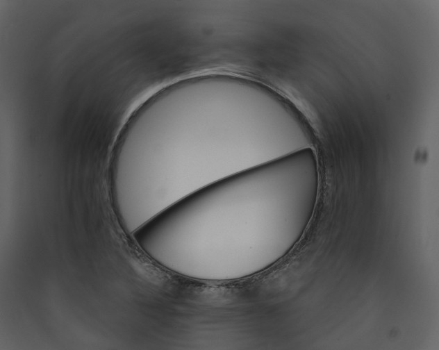 X0000089941316200707131445