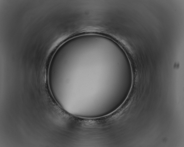 X0000089941317200707131445