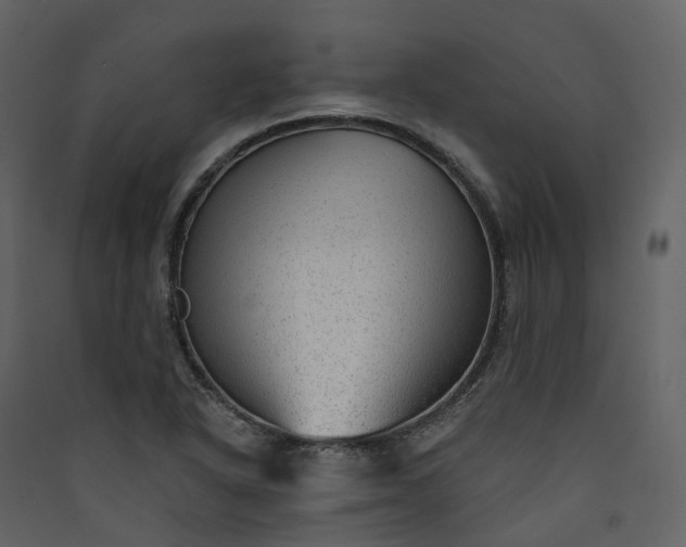 X0000089941318200707131445