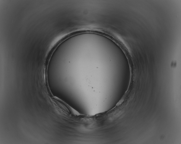 X0000089941320200707131445