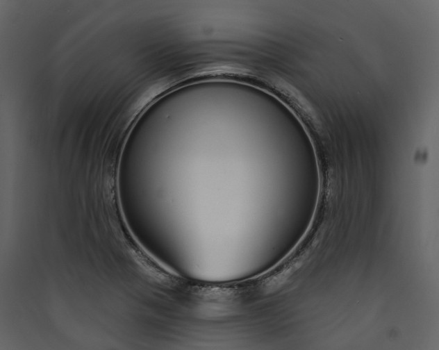 X0000089941321200707131445