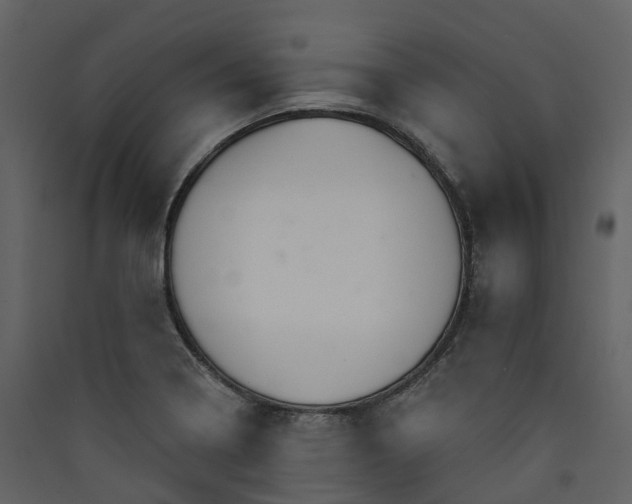 X0000089941322200707131445