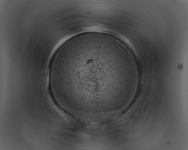 X0000089941323200707131445