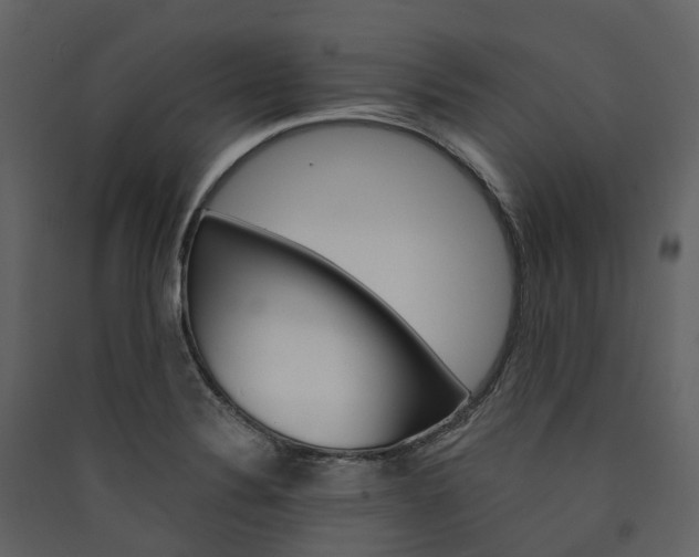 X0000089941324200707131445