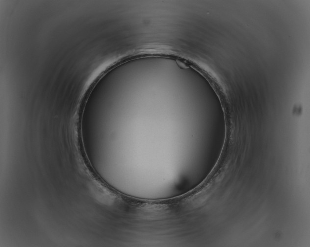 X0000089941325200707131445